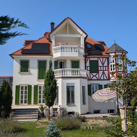 Villa Scheckenbach 索梅拉 外观 照片